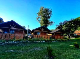 Căsuțele Camping AliMar, hotel in Tîrsa