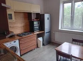 Holub apartment in city centrum