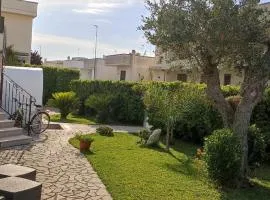 B&B Paradise 2