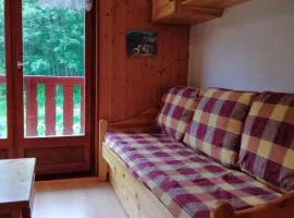 Studio Cabine, plein centre de Valloire