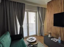 Apartment 41