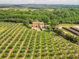 Majordoms - Ca l'Esclop, Alt Empordà