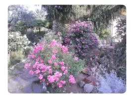 Corelli & Company Rose Musica e Libri