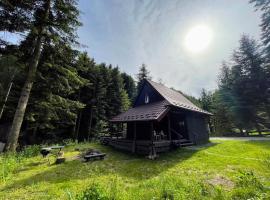 Piwniczna 187 - Vintage House, hotel v destinaci Piwniczna