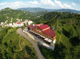 Sarı Köşk Hotel, Hotel in Rize