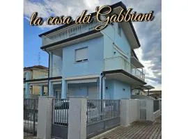 La casa dei gabbiani