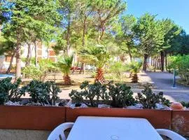 Appartement Banyuls-sur-Mer, 3 pièces, 6 personnes - FR-1-309-295