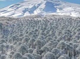 Pucon, la Capital del Sur de Chile