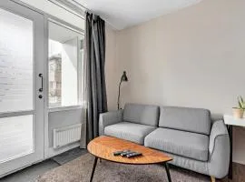 Reykjavik Downtown Chic Studio