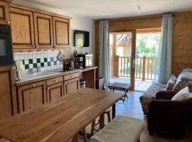 Cohennoz Le Cernix - Appartement montagne avec piscine proche pistes