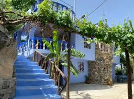 Blue House Town