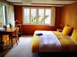 Sonnenhof Wengen - First Hotel of Wengen