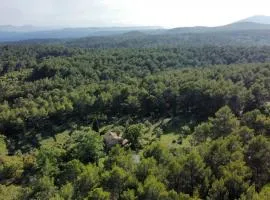 Bastidon provençal off-grid