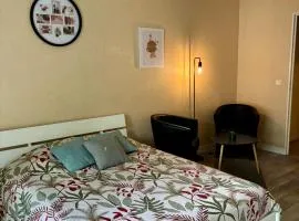 Charmant studio tours nord
