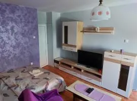 Apartman Iva Sokobanja