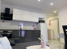 Apartments Milica, hotel din Mirce