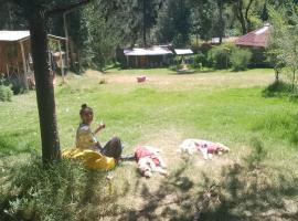 Tony's House Eco Hostel, asrama di Huaraz