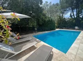 Provençal villa with swimming pool and shaded park