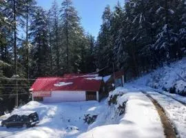 cedar tree cottage gadakufri