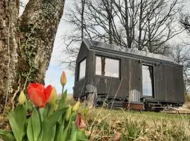 L'Envolée Ecolodge, tiny house au coeur des vignes
