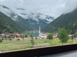 الباتروس اوزنجول Albatros Uzungöl, hotel Çaykara városában