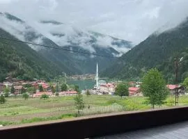 الباتروس اوزنجول Albatros Uzungöl