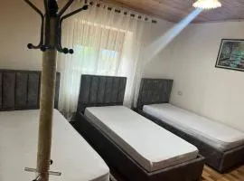 Guest House Vatra