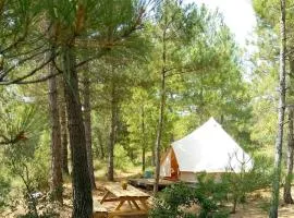 Forest Days