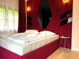 Aigi Rooms Vila, отель в городе Буштени