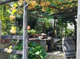 Casa indipendente silenziosa, super relax nel verde a pochi minuti dal mare