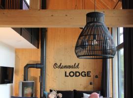 Odenwald-Lodge mit Infrarotsauna und E-Ladestation "Haus Purpur", cheap hotel in Reichelsheim