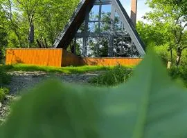 Cabana NucA-Frame Baia Mare