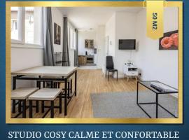 STUDIO COSY - HYPERCENTRE - CALME - 50M2 - Wi-FI, hotel v destinaci Graulhet