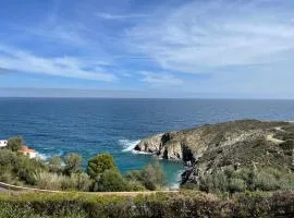 Appartement T2 Climatisé Vue sur Mer BANYULS SUR MER