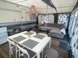 AMOMEA CAMP