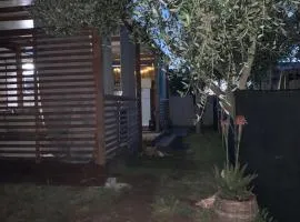 Large camper in the olive grove