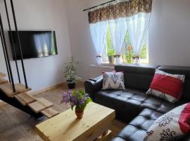 Stylove Apartamenty、Kocierz RychwałdzkiのB&B