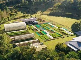 Slow Stay at Roebuck Farm