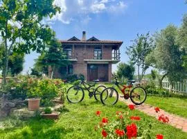 Juniperus Village House