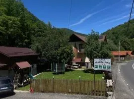 Pensiunea Casa Transalpina