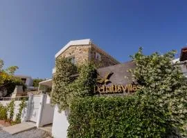 Petritis Villas