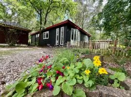 Kindvriendelijk sfeervol vakantiehuis Bosgeneugte bij zwembad op de Veluwe