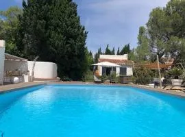 DOMAINE LES VINYES