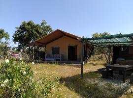 Eco Glamping Portugal Nature Lodge, camping de luxe à São Luis