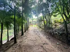Sitio Mandaçaia