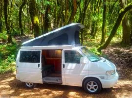 Furgoneta Camper La Gomera 3