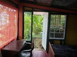 Blue Mountain Wilderness Retreat Jamaica House