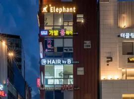 Elephant