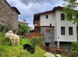 GUEST HOUSE ELENA, hotell i nærheten av Chudnite mostove-broene i Kosovo
