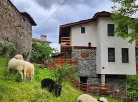 GUEST HOUSE ELENA